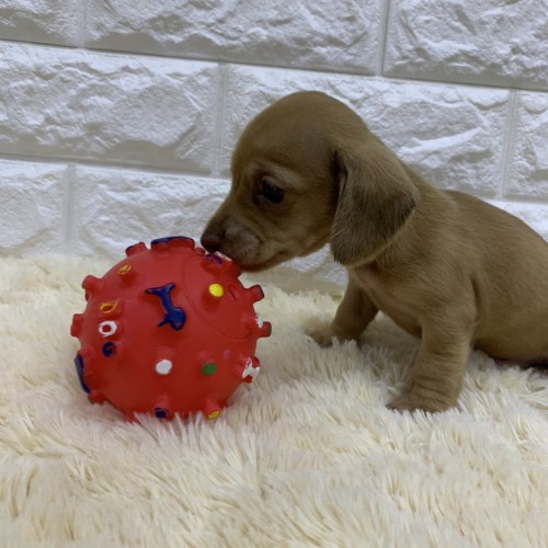 写真 2019-12-01 19 13 28