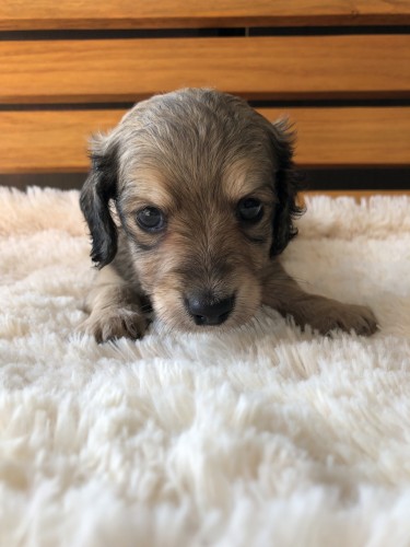 写真 2019-12-02 12 33 22