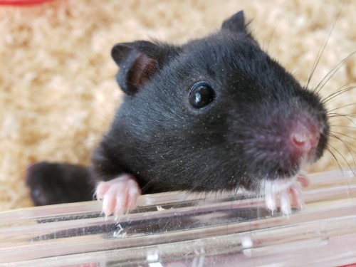 写真 2019-12-15 14 19 33