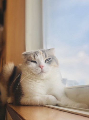 写真 2019-12-28 17 45 45 - コピー