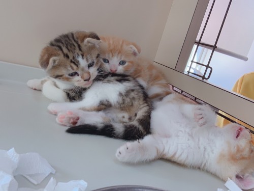 写真 2019-12-07 14 52 49