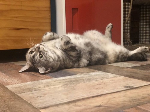 写真 2019-12-28 17 45 24 - コピー