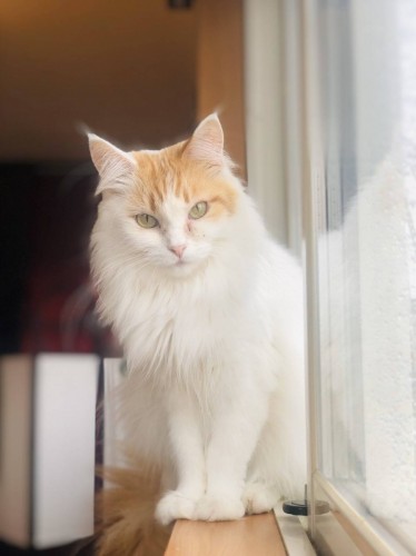 写真 2019-12-28 17 45 28 - コピー