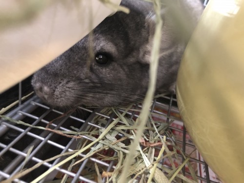 写真 2020-01-24 11 21 09