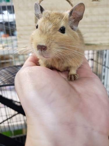 写真 2020-01-15 11 23 13