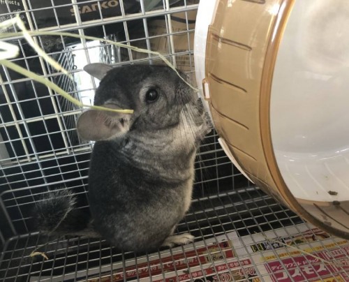 写真 2020-01-24 11 34 00