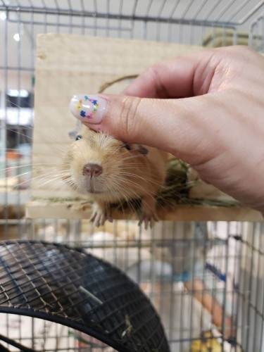 写真 2020-01-15 11 23 11