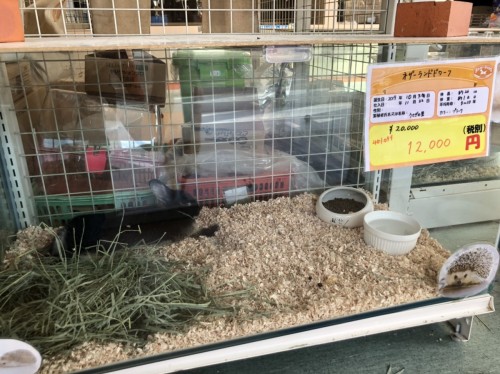 写真 2020-01-08 11 13 43