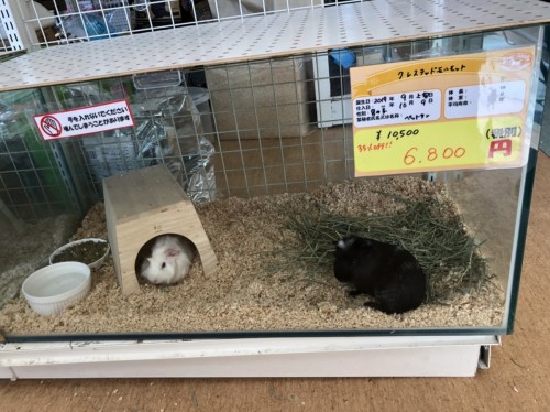 写真 2020-01-08 11 13 45