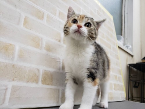 写真 2020-01-27 18 02 17