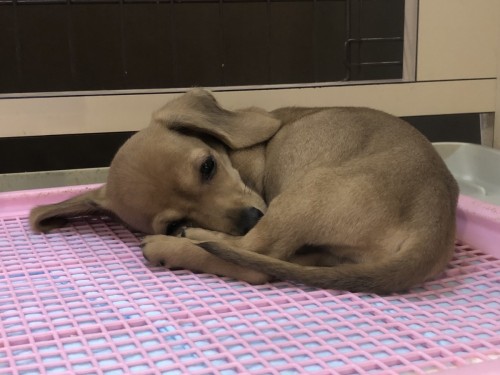 写真 2020-01-13 11 06 33