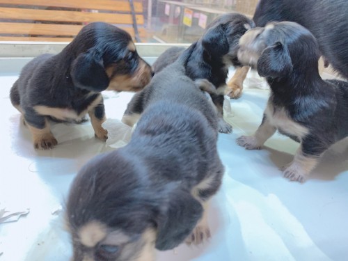 写真 2020-01-01 18 39 54