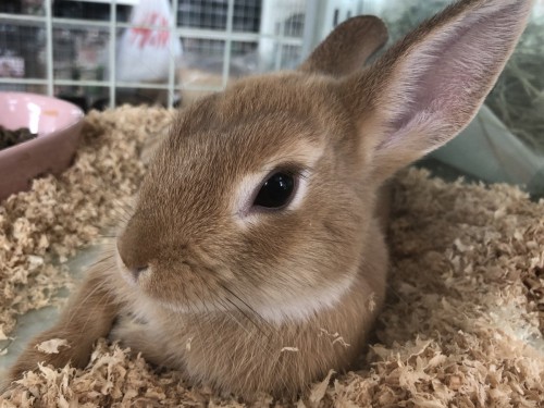 写真 2020-01-13 11 19 15