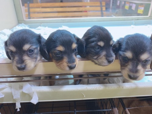 写真 2020-01-01 18 40 52