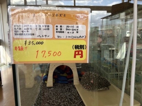 写真 2020-01-08 11 13 41