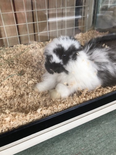 写真 2020-01-26 11 51 37