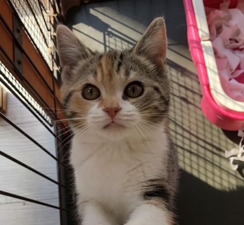 写真 2020-01-31 12 29 39