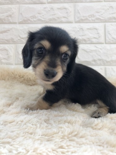 写真 2020-01-14 12 39 14