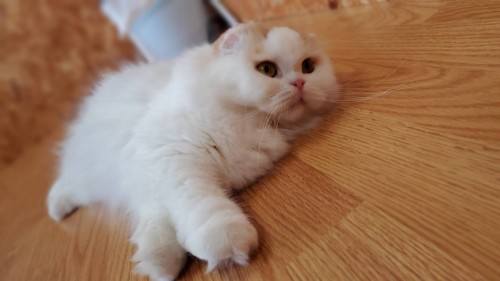 写真 2020-01-18 13 37 25