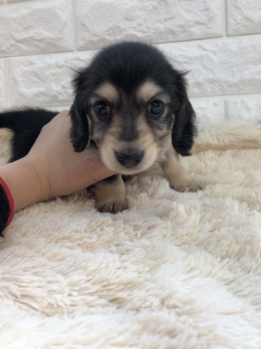 写真 2020-01-14 12 39 08