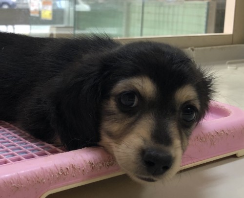 9BA1F696-35BF-458F-B7A3-4008659A9CA5