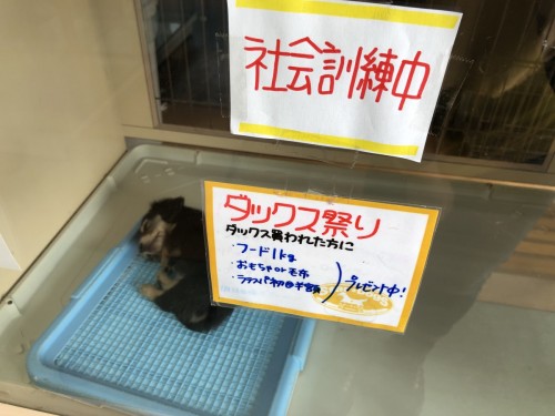 写真 2020-01-19 11 47 20