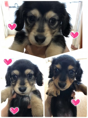 写真 2020-01-18 14 55 52