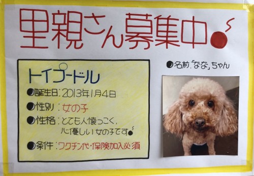 C3162446-A1A5-45FE-ACFD-06FF57F9F928