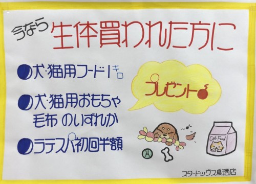 写真 2020-01-31 12 05 11