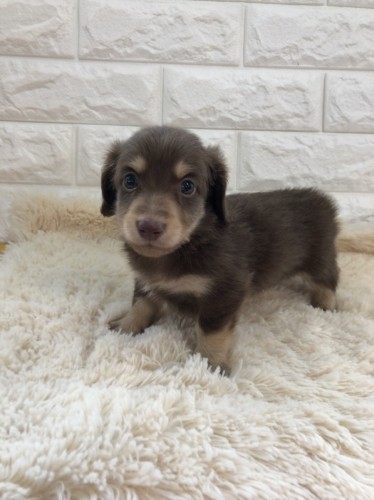 写真 2020-01-14 12 39 48