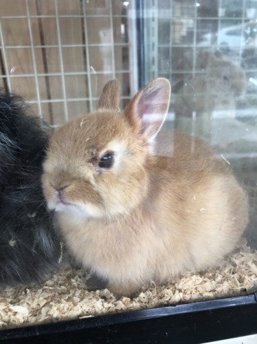 写真 2020-01-26 11 51 34