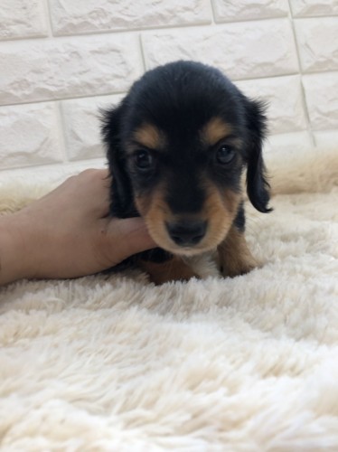 写真 2020-01-14 12 39 12