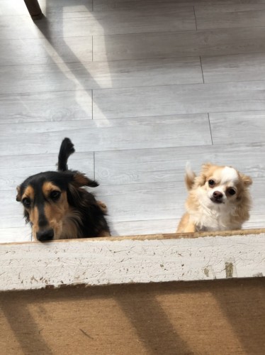 写真 2020-01-03 13 43 24