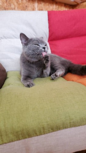 写真 2020-01-18 13 47 26