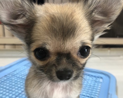 写真 2020-01-13 11 07 00 (1)