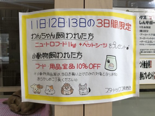 写真 2020-01-13 11 06 45