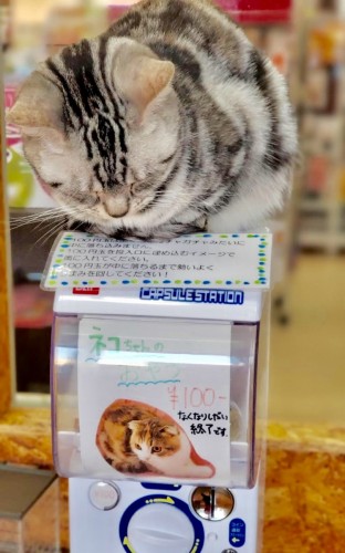 写真 2020-01-18 16 54 19