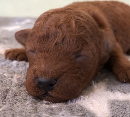 写真 2020-02-22 11 25 40