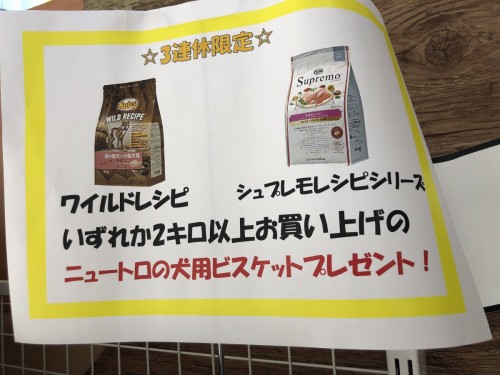 写真 2020-02-24 13 51 48