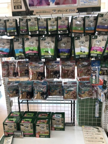 写真 2020-02-06 12 30 48