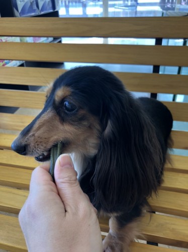 写真 2020-02-13 14 32 13