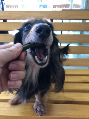 写真 2020-02-13 14 32 16