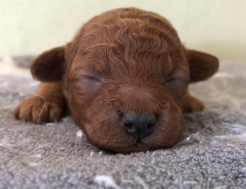 写真 2020-02-22 11 25 30