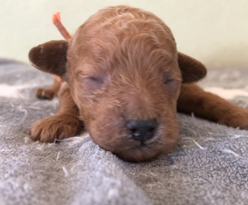 写真 2020-02-22 11 25 34