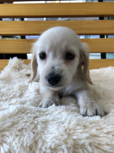 写真 2020-02-27 13 51 57