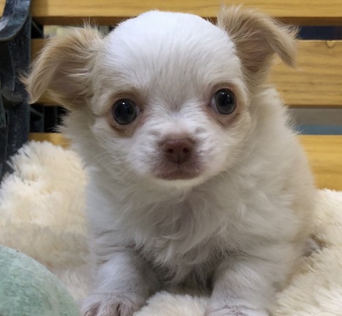 写真 2020-02-19 18 23 49