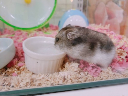 写真 2020-02-16 11 00 31