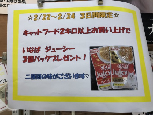 写真 2020-02-24 13 51 38