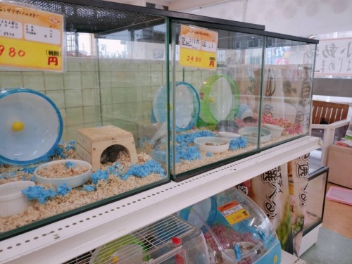 写真 2020-02-16 11 00 13