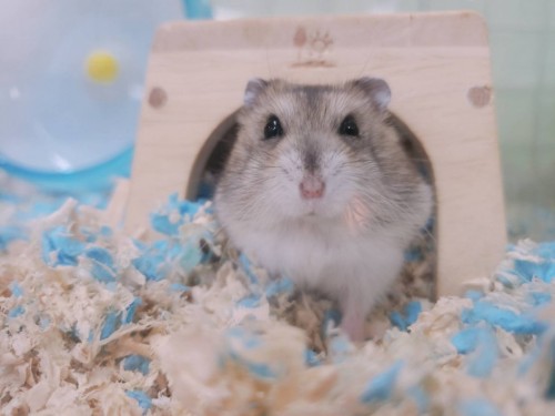 写真 2020-02-16 11 00 15